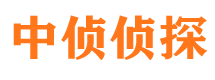 长丰市调查公司